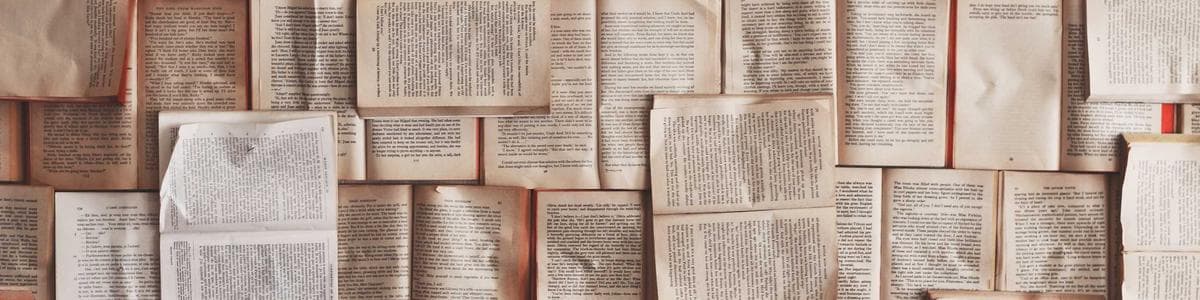 Privacy and Terms